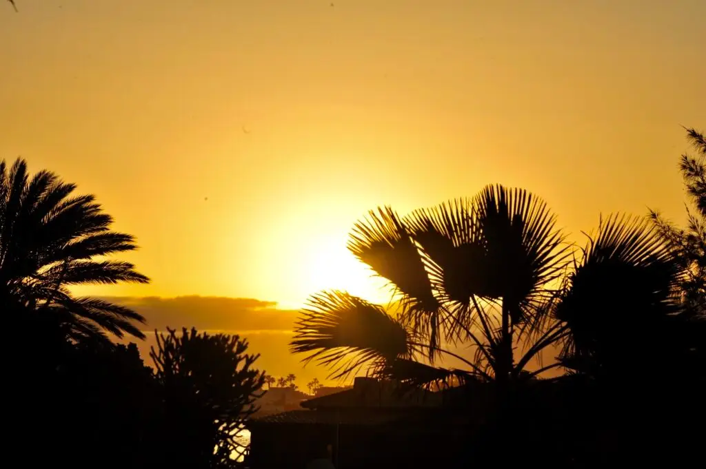 Vacaciones de surf en familia en Fuerteventura